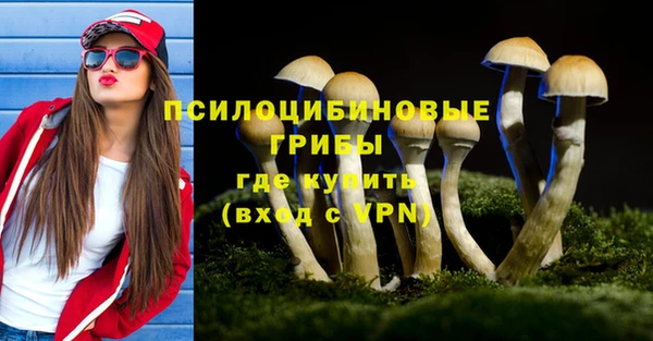 спайс Киреевск