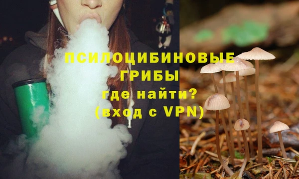 спайс Киреевск