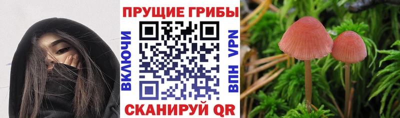Псилоцибиновые грибы GOLDEN TEACHER  Купить где  Воскресенск 